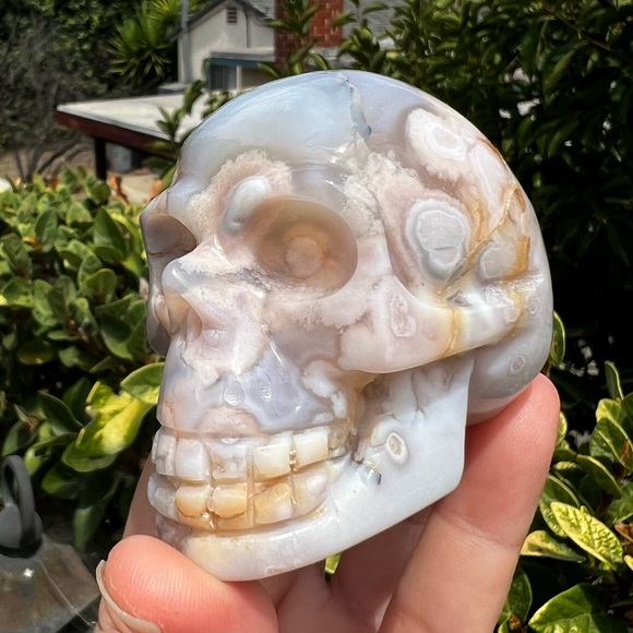 Flower Agate Skull - Picture 1 of 10